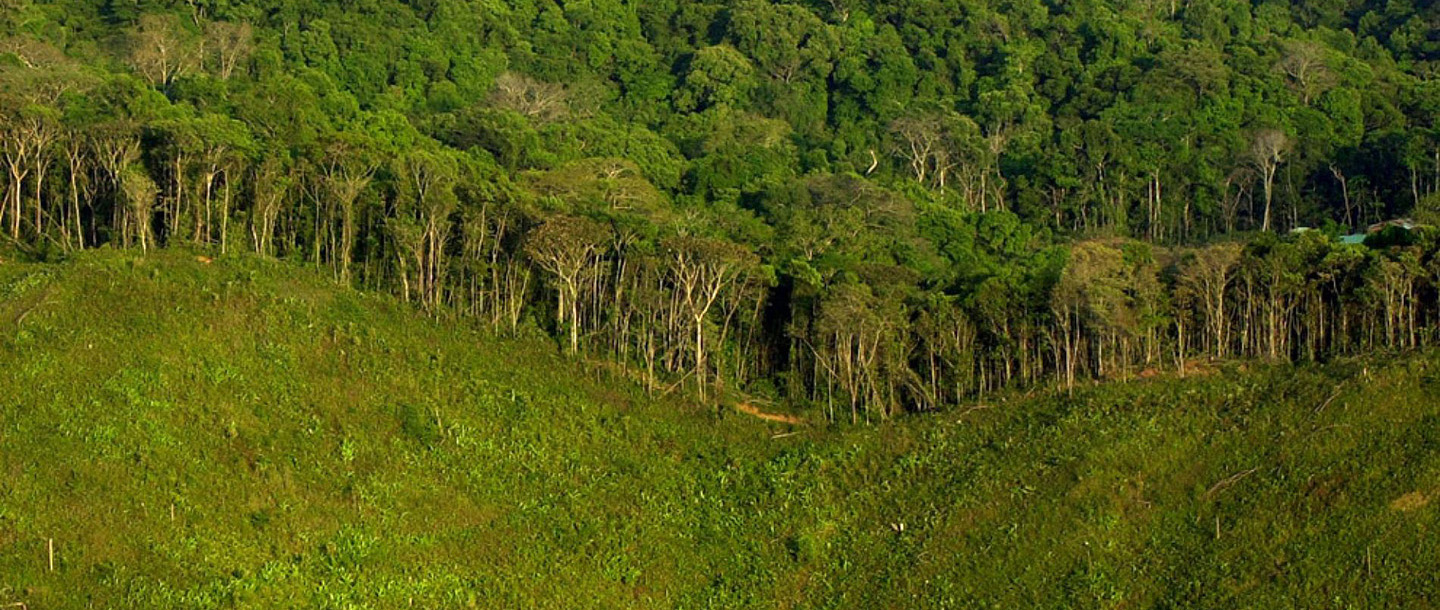 The Athiz Nature Cure, Hadmatiya Gir