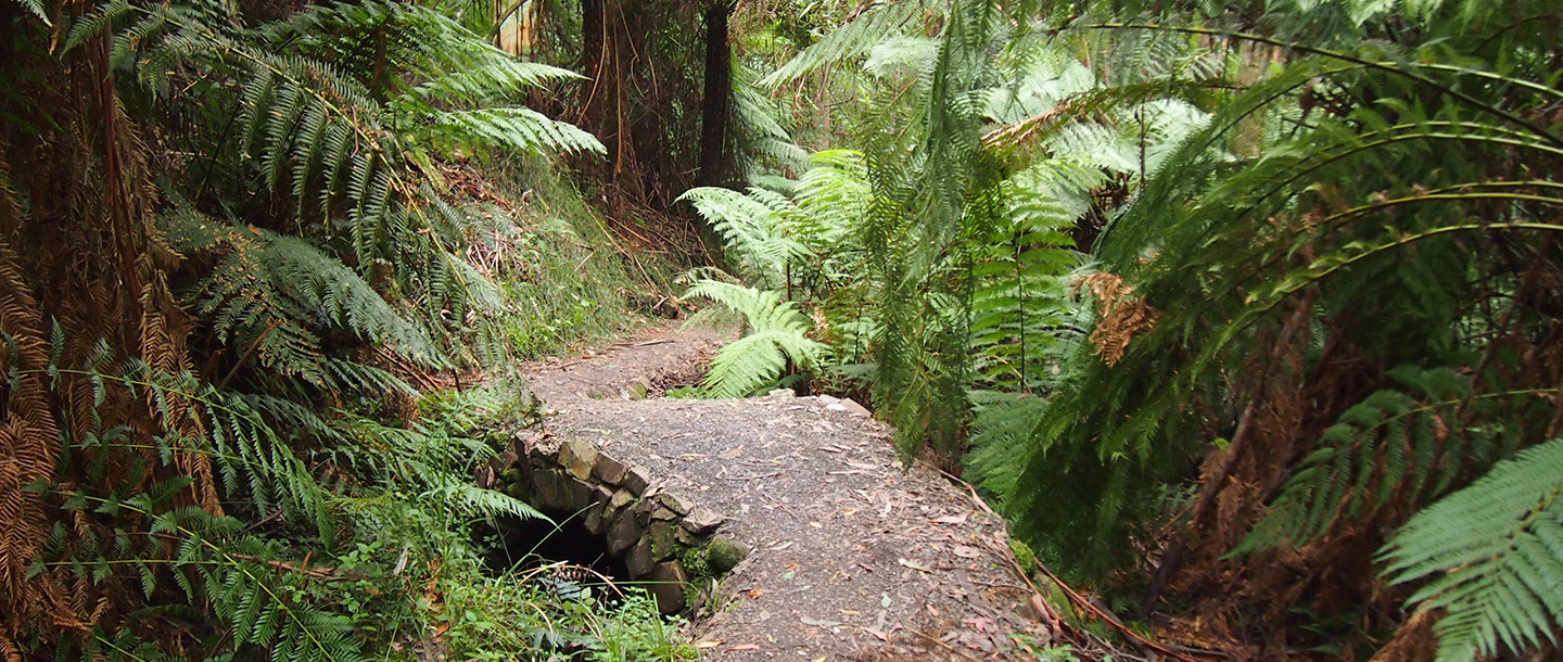 The Athiz Nature Cure, Hadmatiya Gir