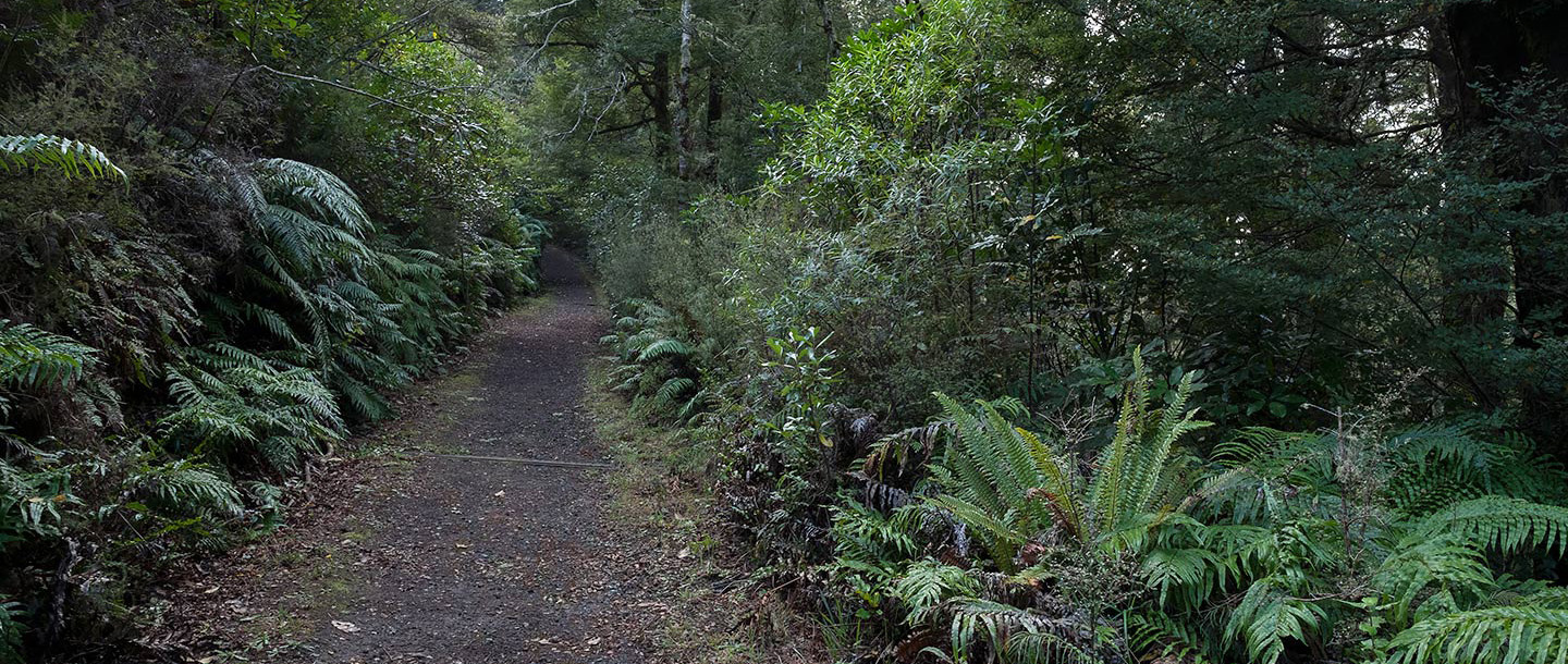 The Athiz Nature Cure, Hadmatiya Gir