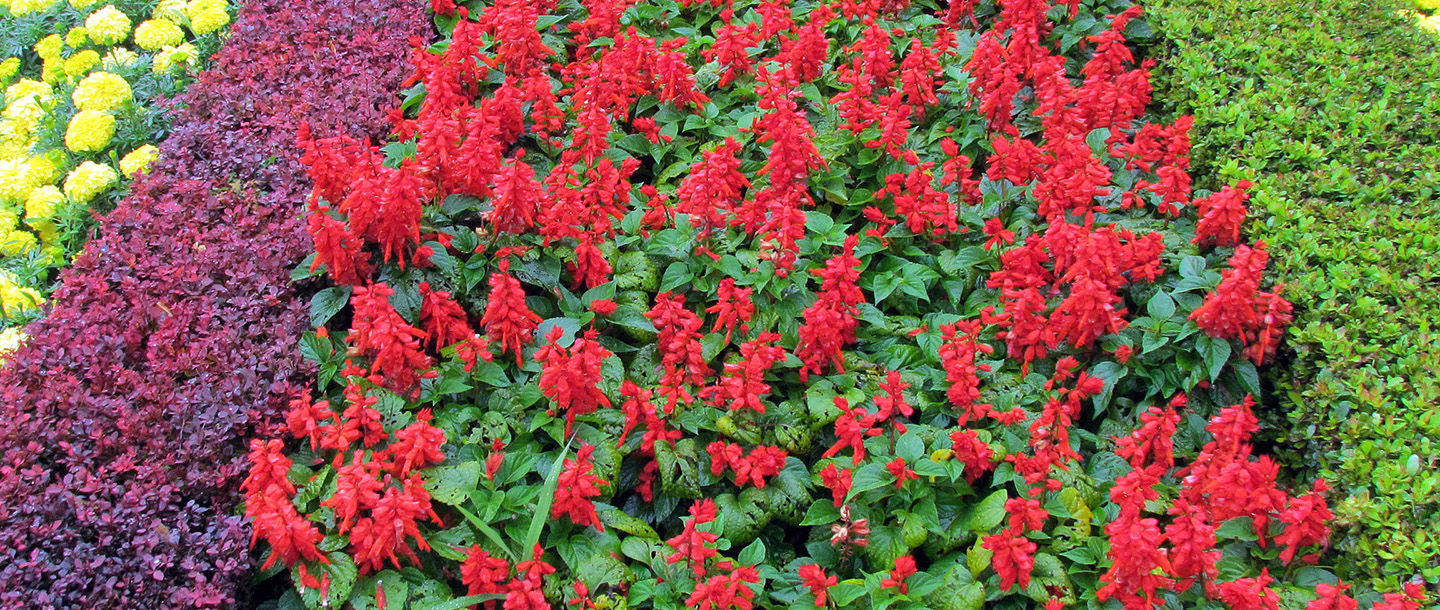 The Athiz Nature Cure, Hadmatiya Gir