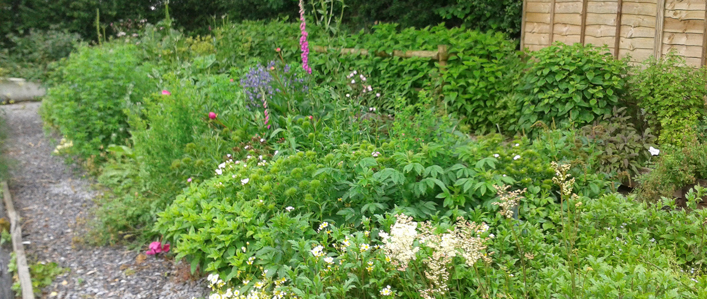 The Athiz Nature Cure, Hadmatiya Gir