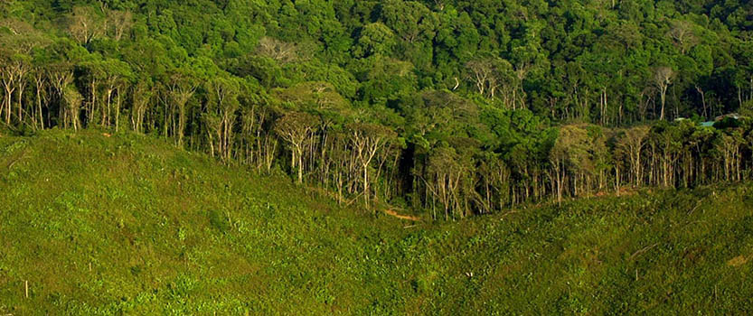 Athiz Nature Cure, Hadmatiya Gir