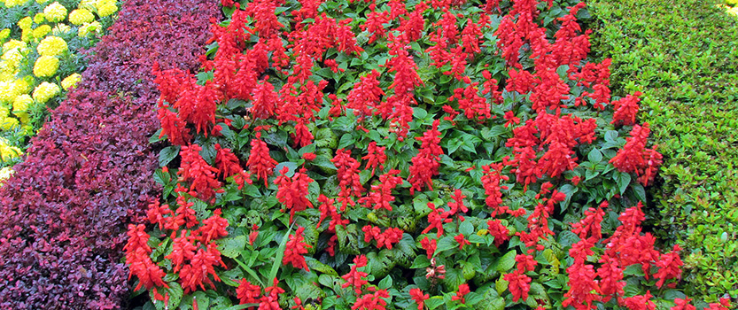 Athiz Nature Cure, Hadmatiya Gir