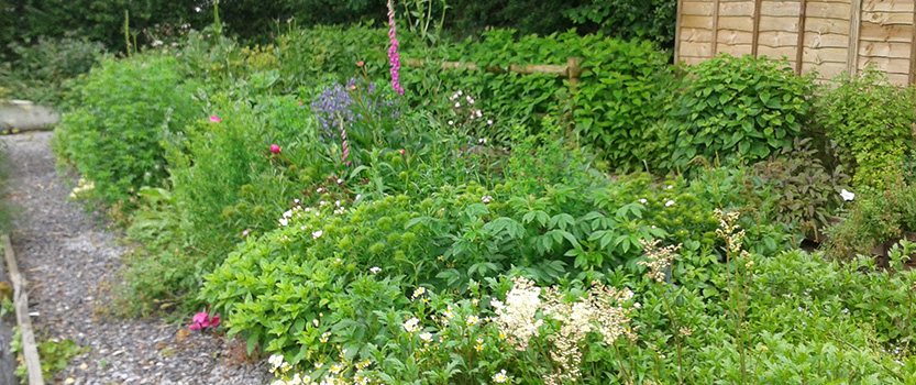 Athiz Nature Cure, Hadmatiya Gir