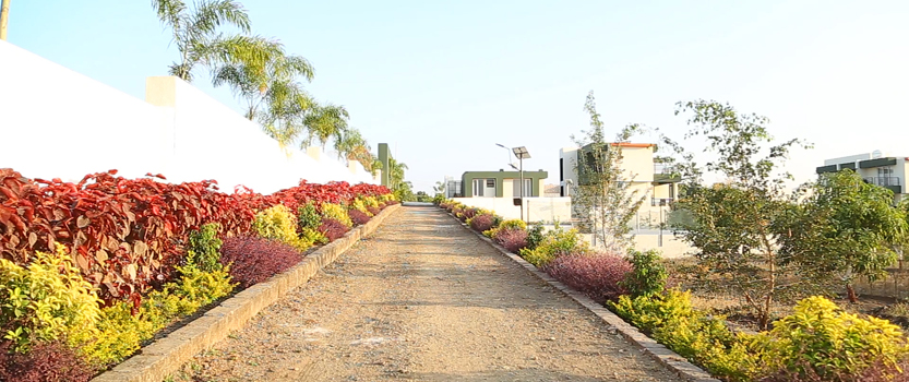 Athiz Nature Cure, Hadmatiya Gir