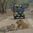 Travel information of Sasan Gir